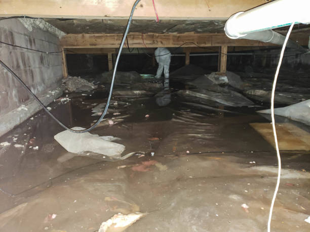  Lexington, TN Water damage restoration Pros